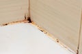 Mold fungus and rust growing in tile joints in damp poorly ventilated bathroom with high humidity, wtness, moisture and dampness Royalty Free Stock Photo