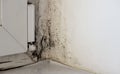 Mold, fungus on the slope of the wall. Black mold on white wall near window close up.