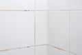 Mold or fungus of the wall in the Shower room causing black or brown mold in the bathroom or toilet room caused by the hot water Royalty Free Stock Photo