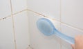 Mold or fungus of the wall in the Shower room causing black or brown mold in the bathroom or toilet room caused by the hot water