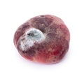 Mold growing on old flat peach Royalty Free Stock Photo