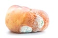 Mold growing on old peach Royalty Free Stock Photo