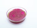 Mold growing in a Petri dish Royalty Free Stock Photo