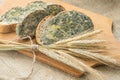 Mold growing rapidly on moldy bread in green and white spores. Royalty Free Stock Photo