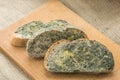 Mold growing rapidly on moldy bread in green and white spores. Royalty Free Stock Photo