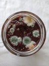 Mold in a jar of jam