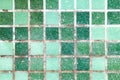 mold on joints between the ceramic tile in bathroom. old black toxic mildew dirt on the white seams of green mosaic tiles before c Royalty Free Stock Photo