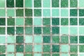 Mold on joints between the ceramic tile in bathroom. old black toxic mildew dirt on the white seams of green mosaic tiles before c Royalty Free Stock Photo