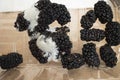 Mold on long-lying blackberries - mold fungus mucor