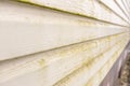 Mold and mildew on siding. Dirty wall of house Royalty Free Stock Photo