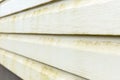 Mold and mildew on the siding wall Royalty Free Stock Photo