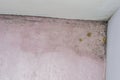 Mold and moisture buildup on pink wall