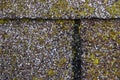Mold/Moss Damage on House Roof Shingles Royalty Free Stock Photo