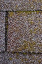 Mold/Moss Damage on House Roof Shingles Royalty Free Stock Photo