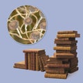 Mold in old books, 3D illustration