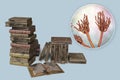 Mold in old books, 3D illustration