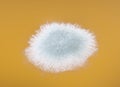 Mold in orange juice macro image Royalty Free Stock Photo