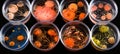 Mold and other fungi samples grown in laboratory petri dishes for mycology and microbiology research