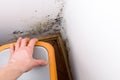 Mold problem in home.