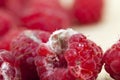 Mold on the raspberries Royalty Free Stock Photo