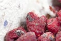 Mold on the raspberries Royalty Free Stock Photo