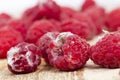 Mold on the raspberries Royalty Free Stock Photo