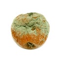 Mold on a rotten apple isolated Royalty Free Stock Photo