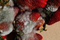 Mold strawberries