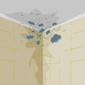 Mold on walls and ceiling. Mold on wall in bathroom or living room. Mildew in shower. Royalty Free Stock Photo