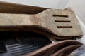 Moldy spatula - close-up