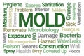 Mold Word Cloud Royalty Free Stock Photo