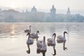 Moldau river embankment in the early morning, Lesser town, Kampa, Prague, Czech republic Royalty Free Stock Photo