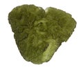 Moldavite Royalty Free Stock Photo