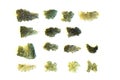 moldavite mineral czech collection Royalty Free Stock Photo