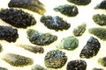 moldavite minerals isolated Royalty Free Stock Photo