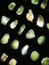 moldavite minerals isolated