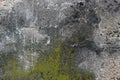 Molded grunge concrete wall Royalty Free Stock Photo