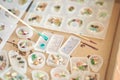 Molded resin art with colorful shells and botanical elements in various silicone Royalty Free Stock Photo