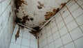Moldy bathroom corner shows extensive ceiling, wall damage. Dark stains, mildew growth indicate moisture problem. Water damage Royalty Free Stock Photo