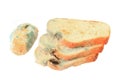 Moldy bread