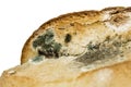 Moldy bread close-up, isolated on white background Royalty Free Stock Photo