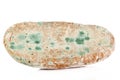 Moldy bread isolated on white background rotten food Royalty Free Stock Photo