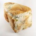 Moldy bread isolated on white background, square crop picture