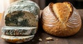 Moldy bread loaf beside fresh bread for comparison Royalty Free Stock Photo