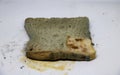 Moldy bread. Toast slices - Image Royalty Free Stock Photo