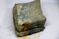 Moldy bread. Toast slices - Image Royalty Free Stock Photo