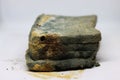 Moldy bread. Toast slices - Image Royalty Free Stock Photo