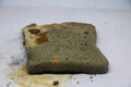 Moldy bread. Toast slices - Image Royalty Free Stock Photo