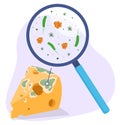 Moldy cheese triangle piece with magnifying glass and germs isometric vector illustration