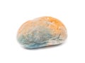 Moldy inedible spoiled food. Mold on bread Royalty Free Stock Photo